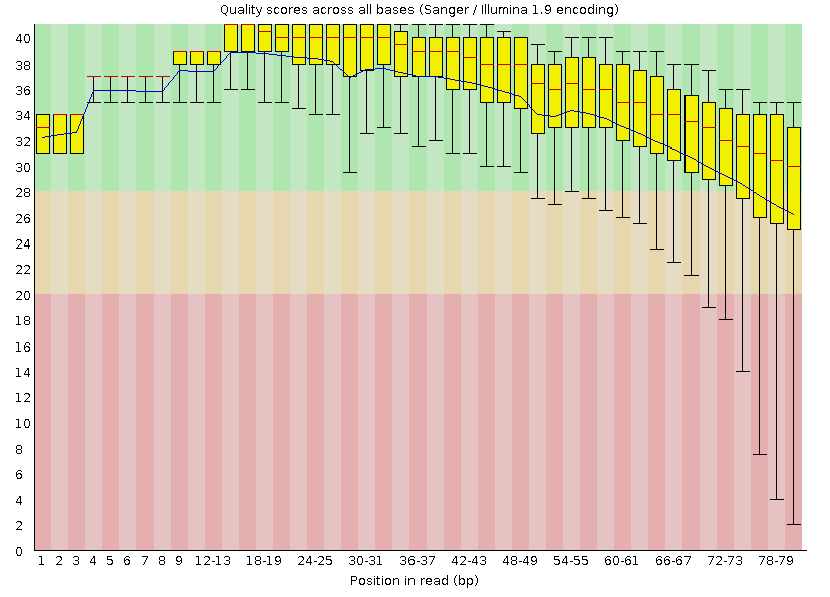 Per base sequence quality plot for the fixed-length trimmed